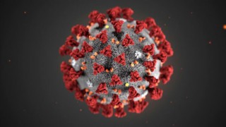 Koronavirüsün En Gerçekçi Görüntüsü Elde Edildi