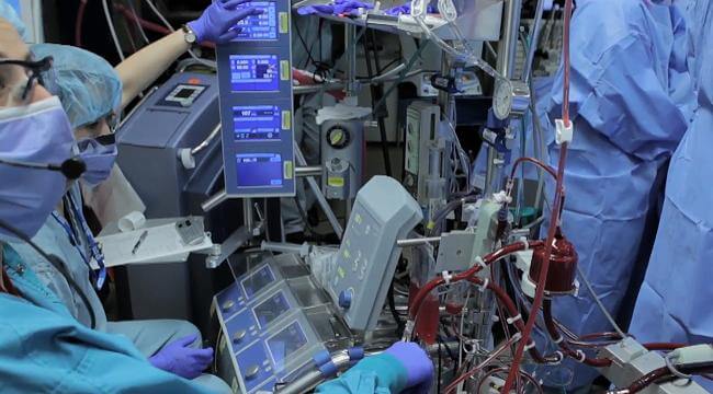 perfusion%20(1)