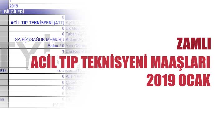 2019 ATT (Acil Tıp Teknisyeni ) Maaşları TÜİK tarafından açıklanan rakamlara göre,memurlara 2019 ocak ayından itibaren toplu