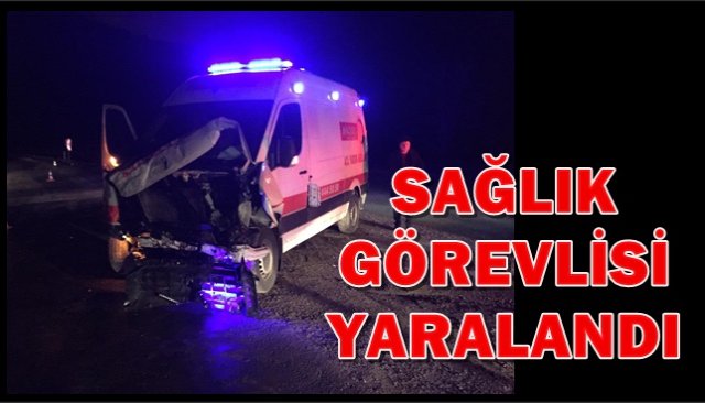 Ambulans Duvara Çarptı: 1 Yaralı ZONGULDAK’ta, sürücüsünün kontrolünden çıkan ambulansın duvara çarpması sonucu 1 sağlık