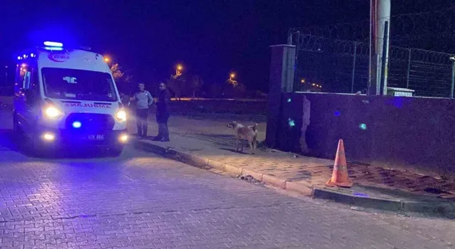 Gümüşhane 112 Ambulans Servisi Başhekimliği personeli, geceleri sırf yurttan çıkabilmek