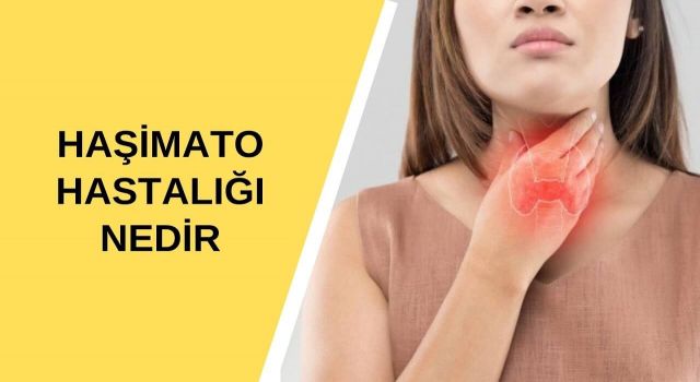 Boynun hemen alt kısmında yer alan ve kelebeğe benzeyen bir