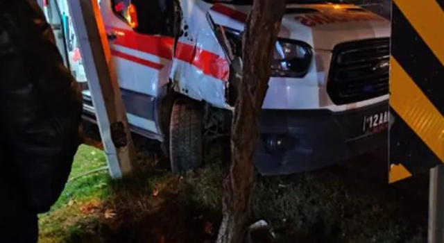 Kaza, akşam saatlerinde Genç ilçesinde meydana geldi. Hasta taşıyan ambulans,