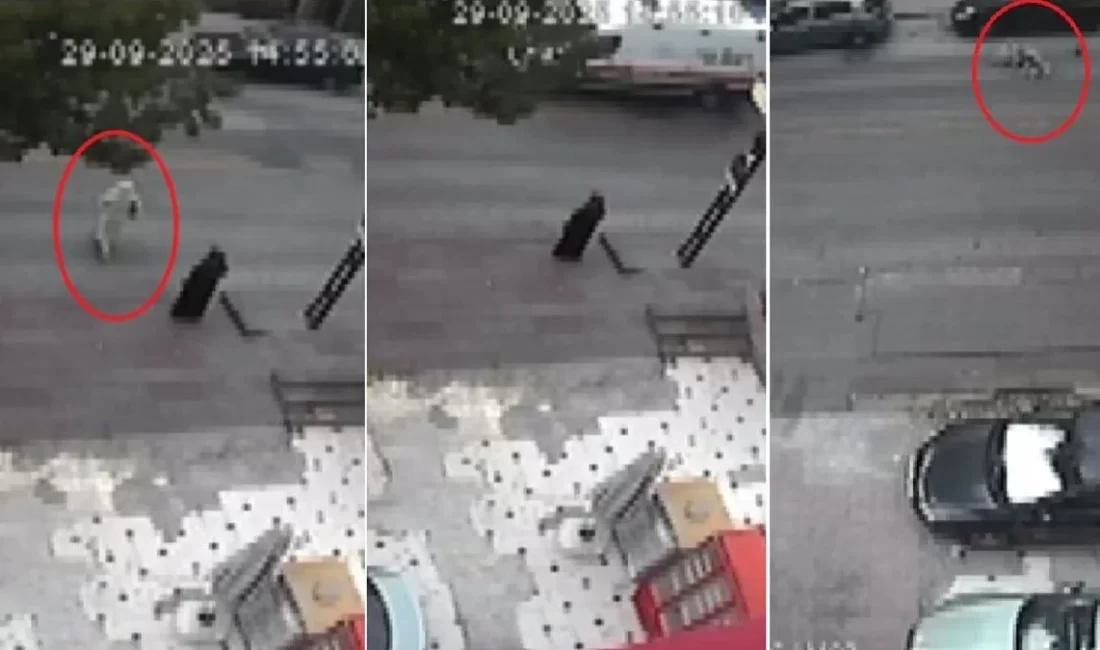 Ankara'da, yolun karşısına geçerken ambulansın çarptığı 77 yaşındaki kadın, hayatını