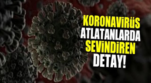 ABD’de yapılan araştırmaya göre koronavirüs geçirip antikor üretenlerin altı aydan