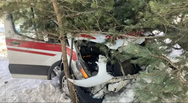 Kaza, akşam saatlerinde Hanak-Damal karayolu mesire alanı mevkiinde meydana geldi.