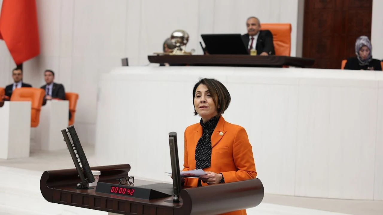 CHP Ankara Milletvekili ve TBMM Sağlık, Aile, Çalışma ve Sosyal