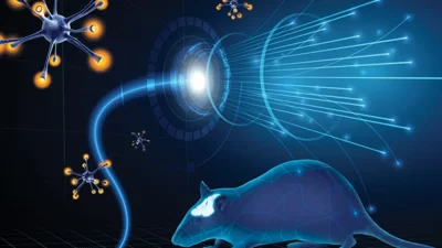 Prof. Dr. Kaan Yılancıoğlu, optogenetik yöntemiyle yapılan çarpıcı bir deney