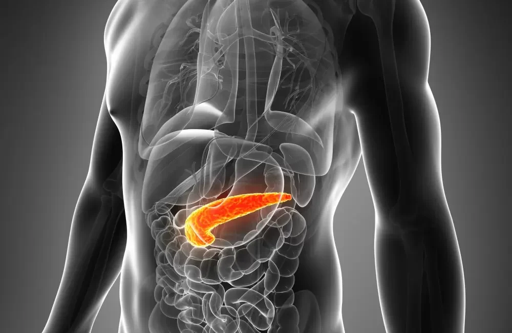 Prof. Dr. Hakan Akelma, sosyal medya hesabından yaptığı paylaşımda pankreasın