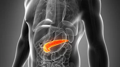 Prof. Dr. Hakan Akelma, sosyal medya hesabından yaptığı paylaşımda pankreasın