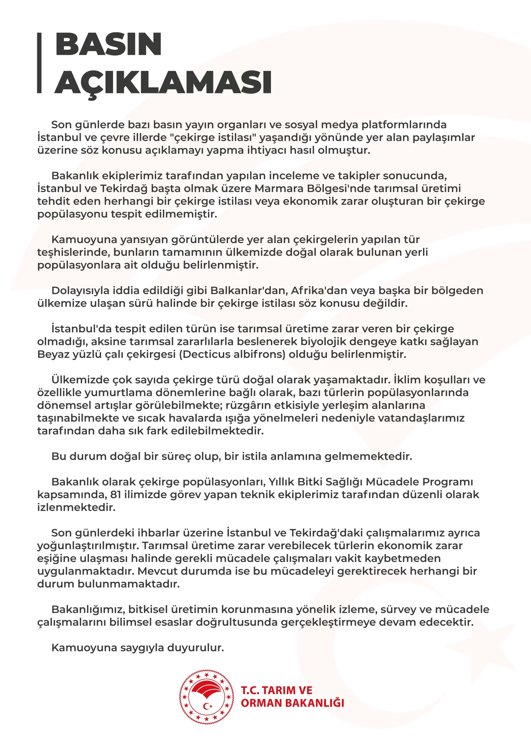 Bakanlık’tan İstanbul ve Marmara İçin 'Çekirge İstilası' Açıklaması 1 Çekirge İstilası Açıklama